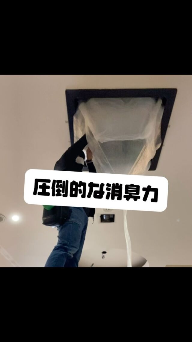 @do_skybuilding 様が設計施工された
オシャレな児童クラブの美装工事に呼んでいただき
行ってまいりました😊

不特定多数の方が出入りされる場所ですので
@tolle.tta で🫧

素敵でオシャレな児童クラブでした🤩
@tsumugu_kizuna_seta_shiga 
要チェックやー✨✨✨

ありがとうございます😊

KITTOでキレイに🧼✨

ーーーーーーーーーーーーーーーーーーーーーーーー
KITTOは

20年ハウスクリーニングで培った経験から
素材を限りなく傷めず
お客様・お客様のご家族
アレルギー体質・洗剤のイヤな臭いが気になる方
お子様やペットがおられる方にも安心していただけて
より長くキレイを維持していただきたいという思いから

洗剤にこだわりました🌱

人・素材・自然に優しく
圧倒的な消臭力と洗浄力を
そして抗菌効果も期待できる

KITTOオリジナル生洗剤
@tolle.ttaでクリーニングさせていただきます🧼

お家のちょっと気になるお困り事も

お家のキレイはKITTOにおまかせください🫡

みなさまに愛を込めて💝

お問い合わせ、ご相談はDM、もしくは公式LINEまでお気軽に📩

@kitto_kirei

#ハウスクリーニング#サステナブルクリーン#サスクリ
#天然系生洗剤#tolletta
#天然系エアコンクリーニング
#換気扇クリーニング#美装工事
#素敵な生活のお手伝い#日本中をキレイにする旅
#素敵な出会いに感謝#京都#KITTO
