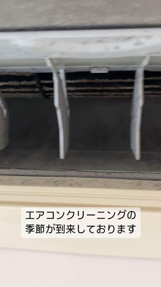 笑顔はいいですよね☺️

お客様にいつも元気をいただいております✨

数あるお掃除屋さんの中からKITTOを選んでくださり
ありがとうございます😊

KITTOでキレイに🧼✨

———————————
KITTOは

約20年ハウスクリーニングで培った経験から
素材を限りなく傷めず
お客様・お客様のご家族
アレルギー体質・洗剤のイヤな臭いが気になる方
お子様やペットがおられる方にも安心していただけて
より長くキレイを維持していただきたいという思いから

洗剤にこだわりました🌱

人・素材・自然に優しく
圧倒的な消臭力と洗浄力を
そして抗菌効果も期待できる

KITTOオリジナル生きている洗剤
@tolle.taでクリーニングさせていただきます🧼

お家のちょっと気になるお困り事も

お家のキレイはKITTOにおまかせください🫡

お問い合わせ、ご相談はDM、もしくは公式LINEまでお気軽に📩

@kitto_kirei

#人素材自然にやさしい#ハウスクリーニング
#バイオクリーニング#自然の力
#サステナブルクリーン#サスクリ
#住居用生洗剤#tolletta#トレッタ
#天然系エアコンクリーニング#笑顔は最高のプレゼント
#素敵な生活のお手伝い#日本中をキレイにする旅
#京都#KITTO