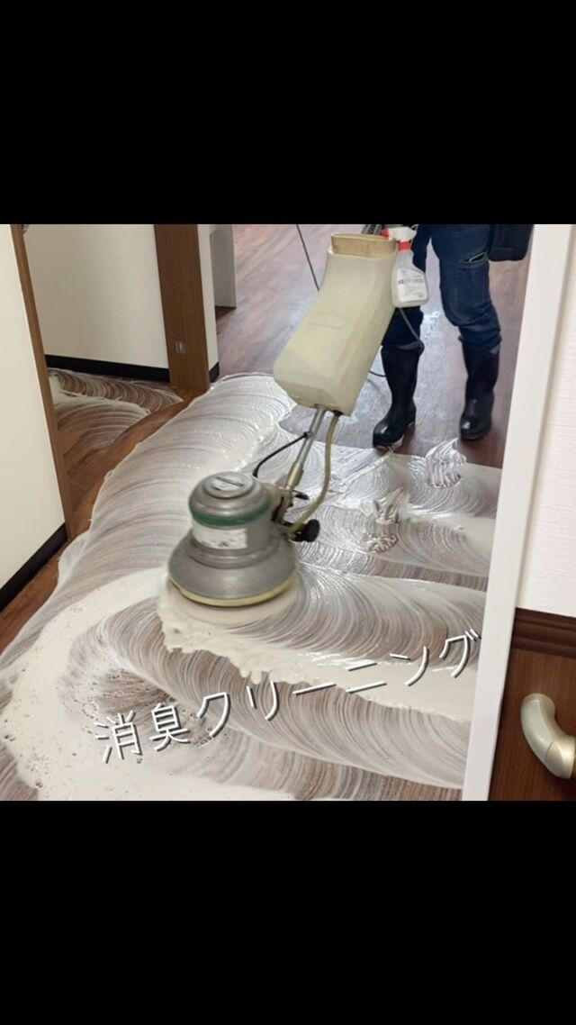 臭いが気になるとご相談をいただき
行ってまいりました消臭クリーニング😊

自然由来のものだけを使った
@tolle.tta 
だからこそできる
素材を限りなく傷めず
配合されている善玉菌が
イヤな臭いも菌も退治してくれます✨

残った善玉菌が菌の発生も抑制してくれるので

きれい長続き✨✨

使い続けることでさらにきれいが長続き🌱

みなさまのお家をずっときれいに

KITTOでキレイに

KITTOきれいに🌱

ーーーーーーーーーーーーーーーーーーーーーーーー
KITTOは

20年ハウスクリーニングで培った経験から
素材を限りなく傷めず
お客様・お客様のご家族
アレルギー体質・洗剤のイヤな臭いが気になる方
お子様やペットがおられる方にも安心していただけて
より長くキレイを維持していただきたいという思いから

洗剤にこだわりました🌱

「自然の力で家中をキレイに」

合成化学物質不使用
生きた善玉菌が菌をたおす特許取得のバイオの力で
圧倒的な消臭力・洗浄力を
善玉菌が常駐することで抗菌効果も期待できる
KITTOオリジナル生きている洗剤

@tolle.ttaでクリーニングさせていただきます🧼

クリーニングのプロが愛してやまない洗剤を
ご家庭用に開発した
家庭用トレッタも販売しております✨

お家のキレイはKITTOにおまかせください🫡

ハウスクリーニング・トレッタの
お問い合わせ、ご相談はDM、もしくは公式LINEまでお気軽に📩

@kitto_kirei

#人#自然#素材にやさしい#ハウスクリーニング
#バイオクリーニング#消臭クリーニング
#サステナブルクリーン#サスクリ
#住居用生洗剤#tolletta#トレッタ
#素敵な生活のお手伝い#日本中をキレイにする旅
#京都#キット